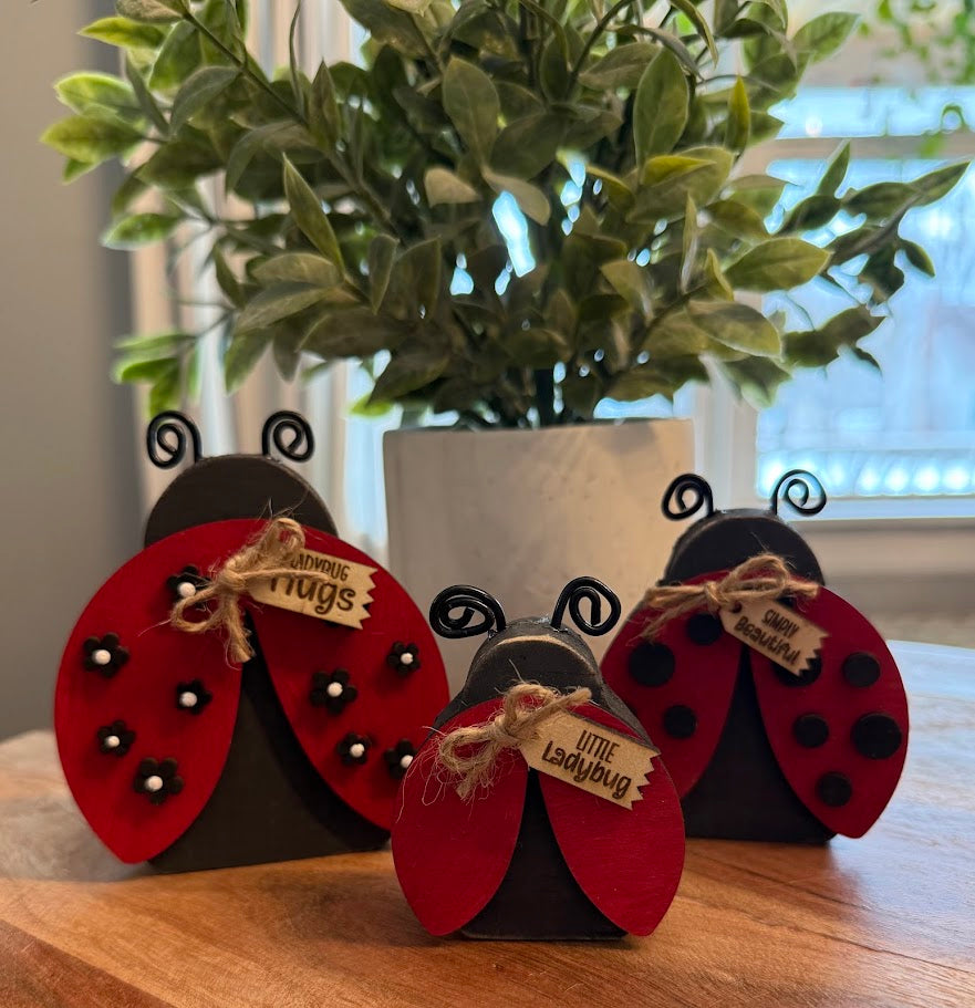 Ladybugs Create Crate