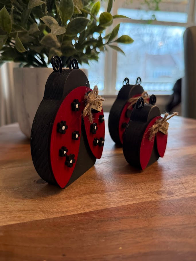 Ladybugs Create Crate