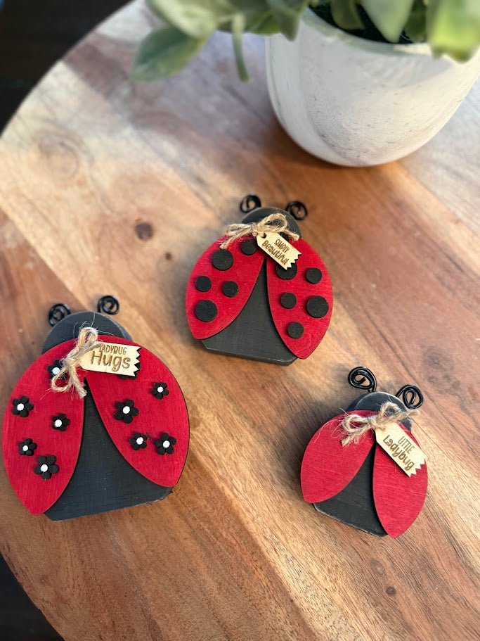 Ladybugs Create Crate