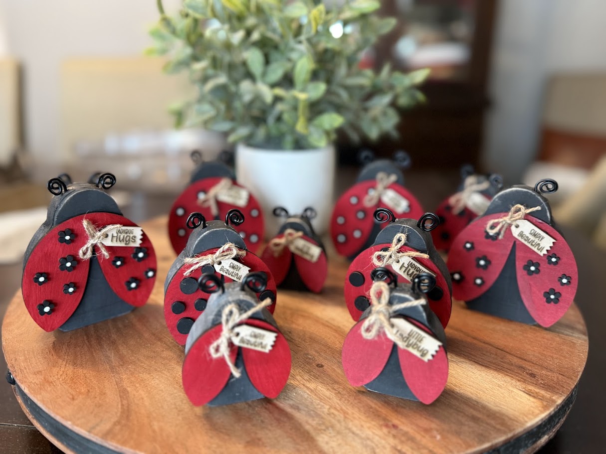 Ladybugs Create Crate